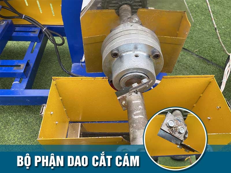 dao-cat-cam-may-dun-vien-thuc-an-chan-nuoi-40k