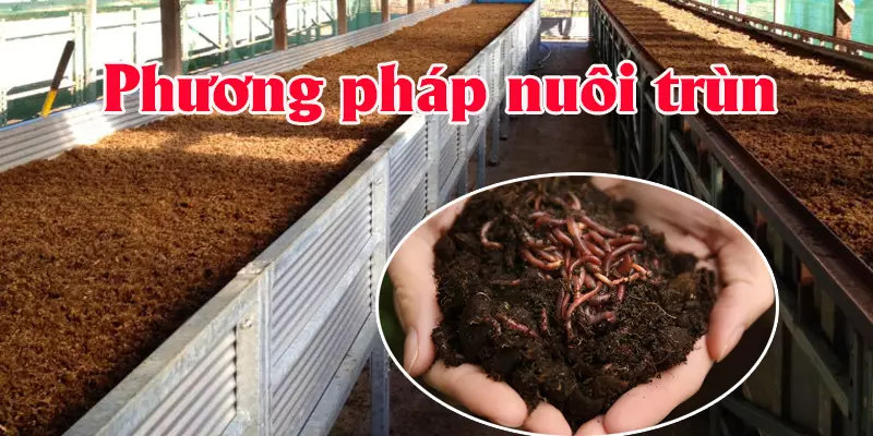 Phuong-phap-nuoi-trun