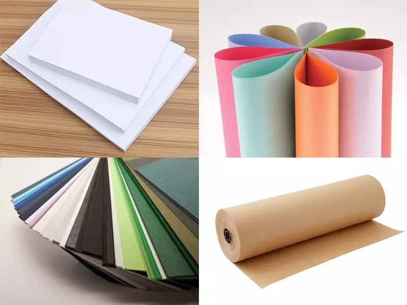 Tầm quan trọng của giấy? Gỗ dùng để sản xuất giấy như nào?