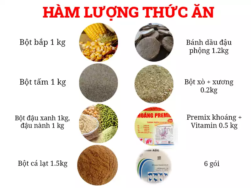 ham-luong-thuc-an