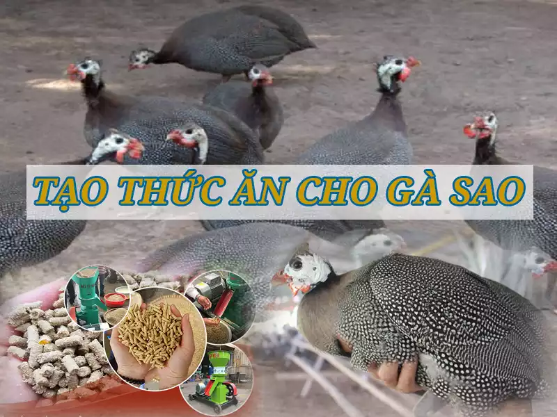 tao-thuc-an-cho-ga-sao