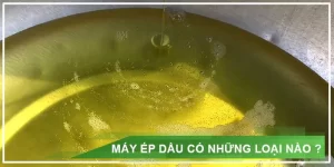 may-ep-dau-thuc-vat-co-nhung-loại-nao_