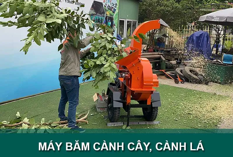 may-bam-canh-cay-canh-la_