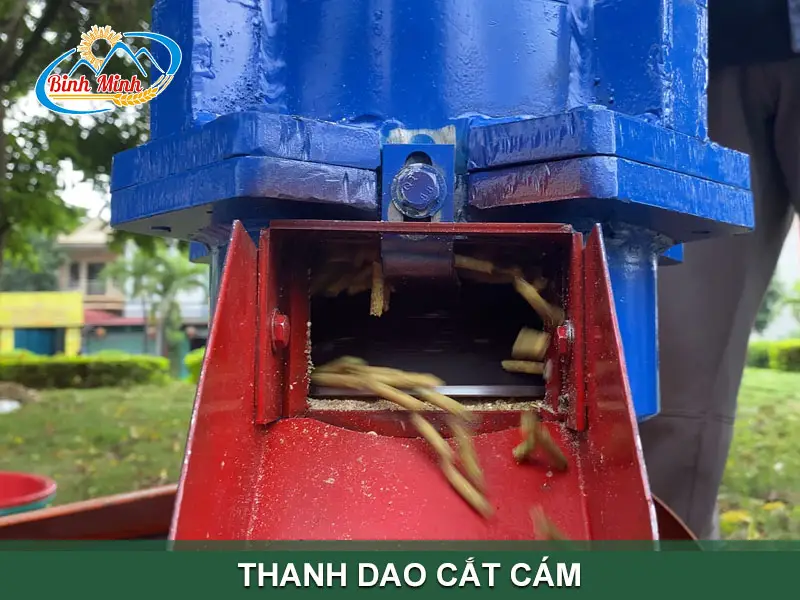 dao-cat-cam_result222